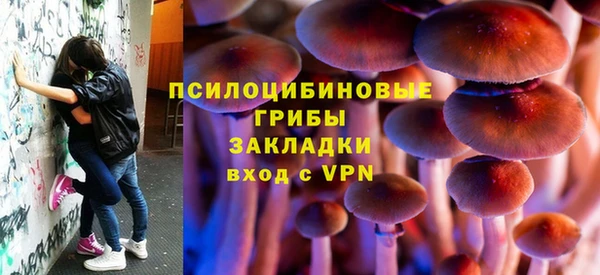 сатива Зеленодольск