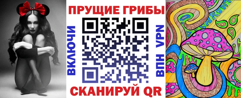 Купить закладки  Истра  Галлюциногенные грибы ЛСД 